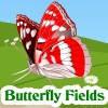 Butterfly Fields Butterfly Fields