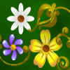 Flower Valley Flower Valley