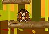 Hedgehog Challenge