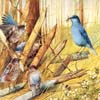 Art Painting Bird Sliding Puzzle Art Painting Bird Sliding Puzzle