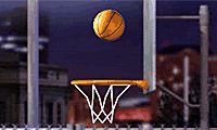 Basketball Horse 