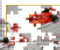 F1 Puzzle 