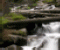 Forest Waterfall Forest Waterfall