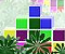 Jungle Crash Jungle Crash