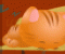 Pest Attack Pest Attack