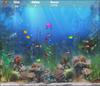 Aquatic Hunt Aquatic Hunt