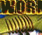Worm Hole 